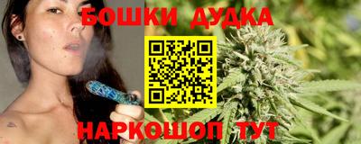 стафф Краснознаменск