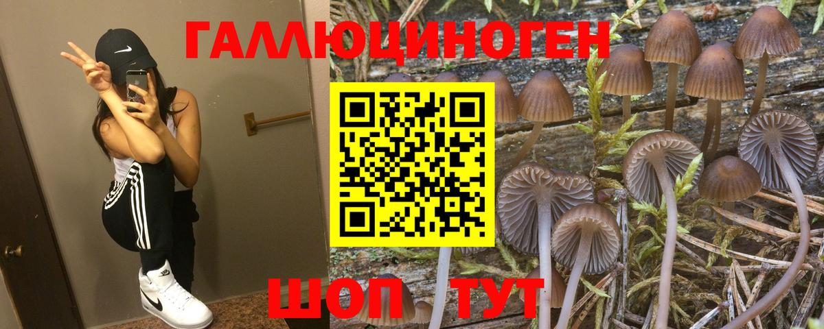 Псилоцибиновые грибы Cubensis  Вход с VPN  Псилоцибиновые грибы Psilocybe  Красноуфимск 